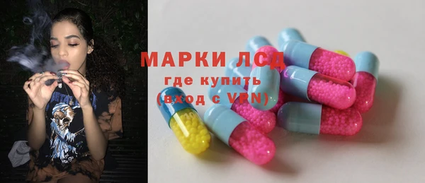 ПСИЛОЦИБИНОВЫЕ ГРИБЫ Абаза