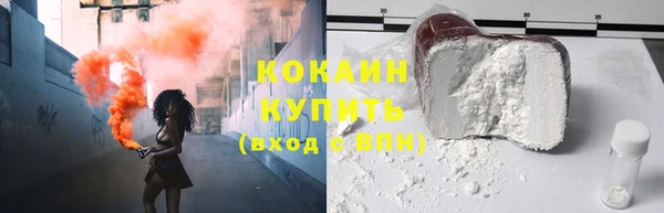 ПСИЛОЦИБИНОВЫЕ ГРИБЫ Абаза