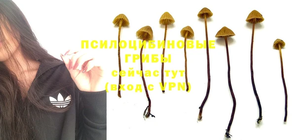 винт Абдулино