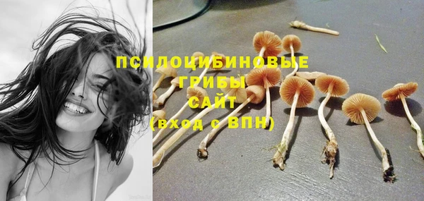 прущая мука Абинск