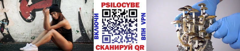 Псилоцибиновые грибы мицелий  купить  цена  Руза 